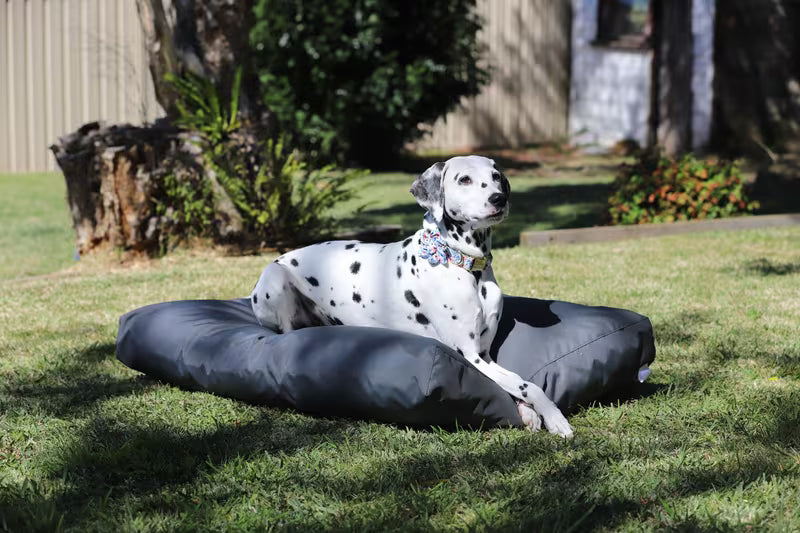 Dog Bed Outdoor Rectangle – 100 x 70 x 10 – Grey Plain Waterproof Crushed Foam Large