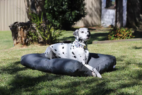 Dog Bed Outdoor Rectangle – 100 x 70 x 10 – Grey Plain Waterproof Crushed Foam Large