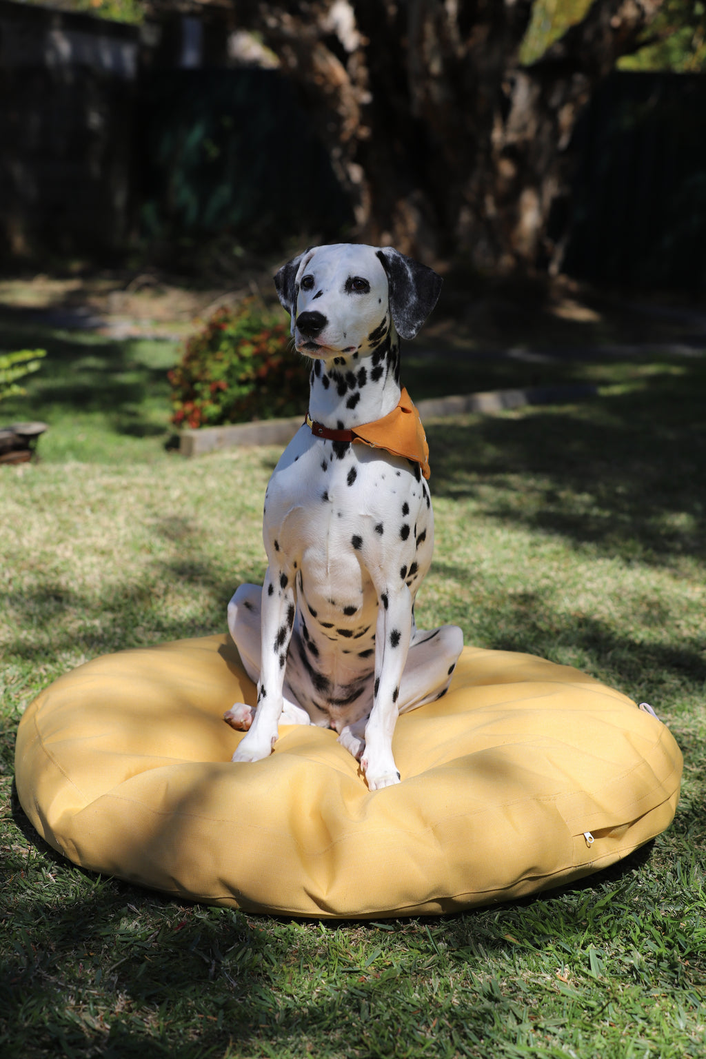 Dog Bed Outdoor Circle – 90cm x 10cm thickness – Yellow Plain Waterproof - Removable Crushed Foam insert - Large - Australian made