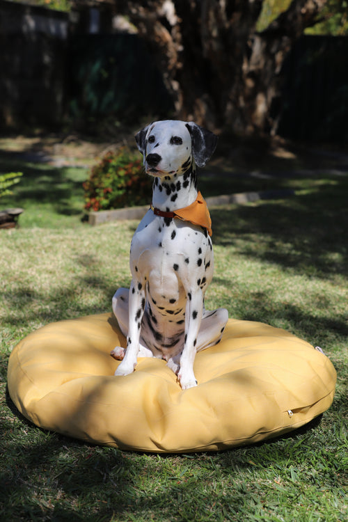 Dog Bed Outdoor Circle – 90cm x 10cm thickness – Yellow Plain Waterproof - Removable Crushed Foam insert - Large - Australian made