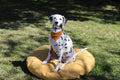 Dog Bed Outdoor Circle – 90cm x 10cm thickness – Yellow Plain Waterproof - Removable Crushed Foam insert - Large - Australian made