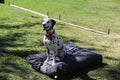 Dog Bed Outdoor Rectangle – 100 x 70 x 10 – Grey Plain Waterproof Crushed Foam Large