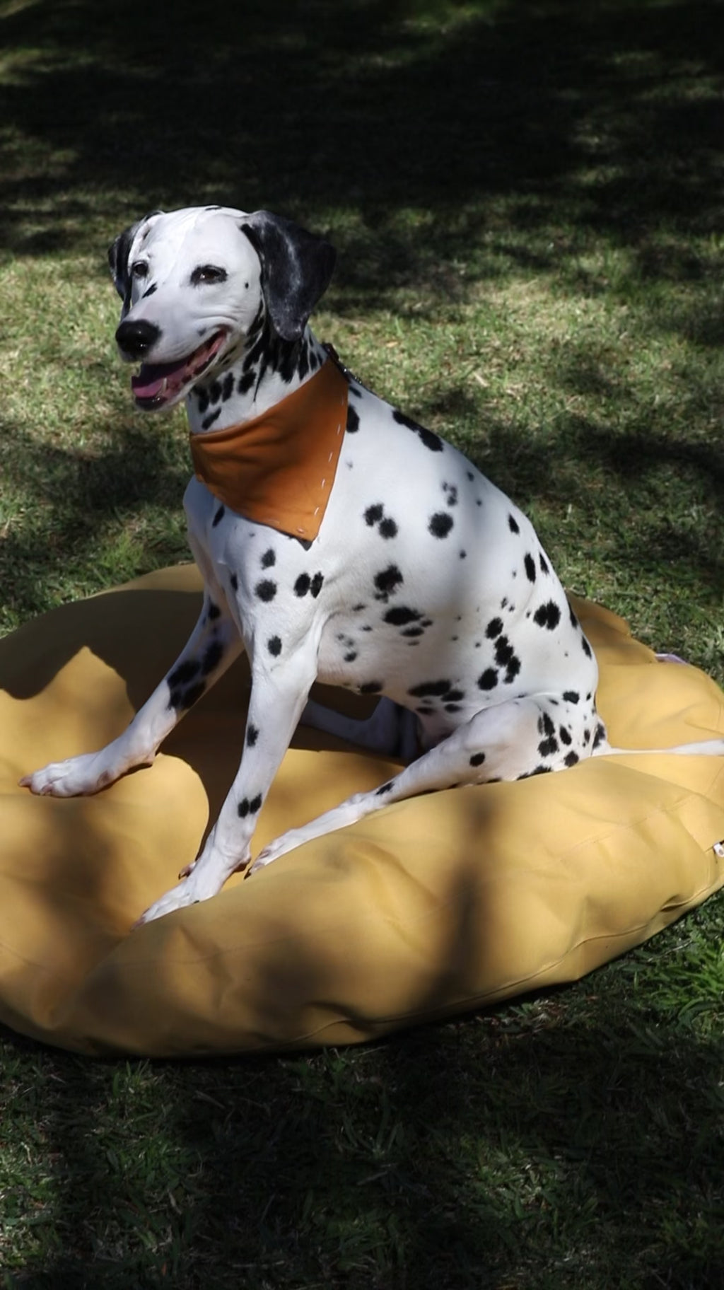 Dog Bed Outdoor Circle – 90cm x 10cm thickness – Yellow Plain Waterproof - Removable Crushed Foam insert - Large - Australian made